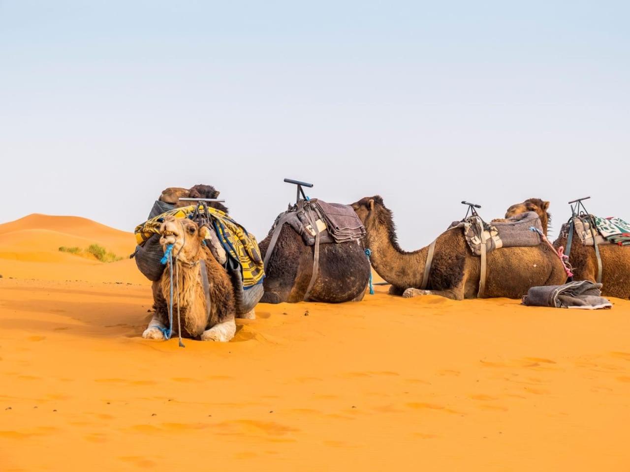 Sunny Place Apartments Merzouga Dış mekan fotoğraf
